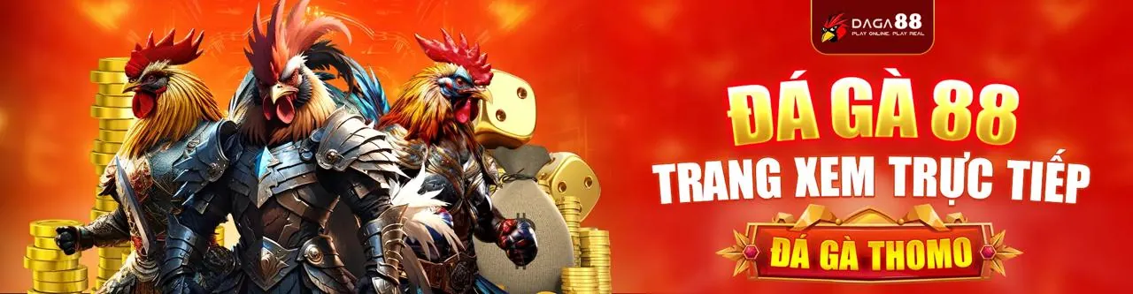 Hướng Dẫn Bắt Đầu Tại vn8day win